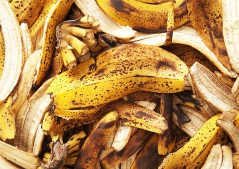 04__bananas_istock-760x506-770_1_480x480