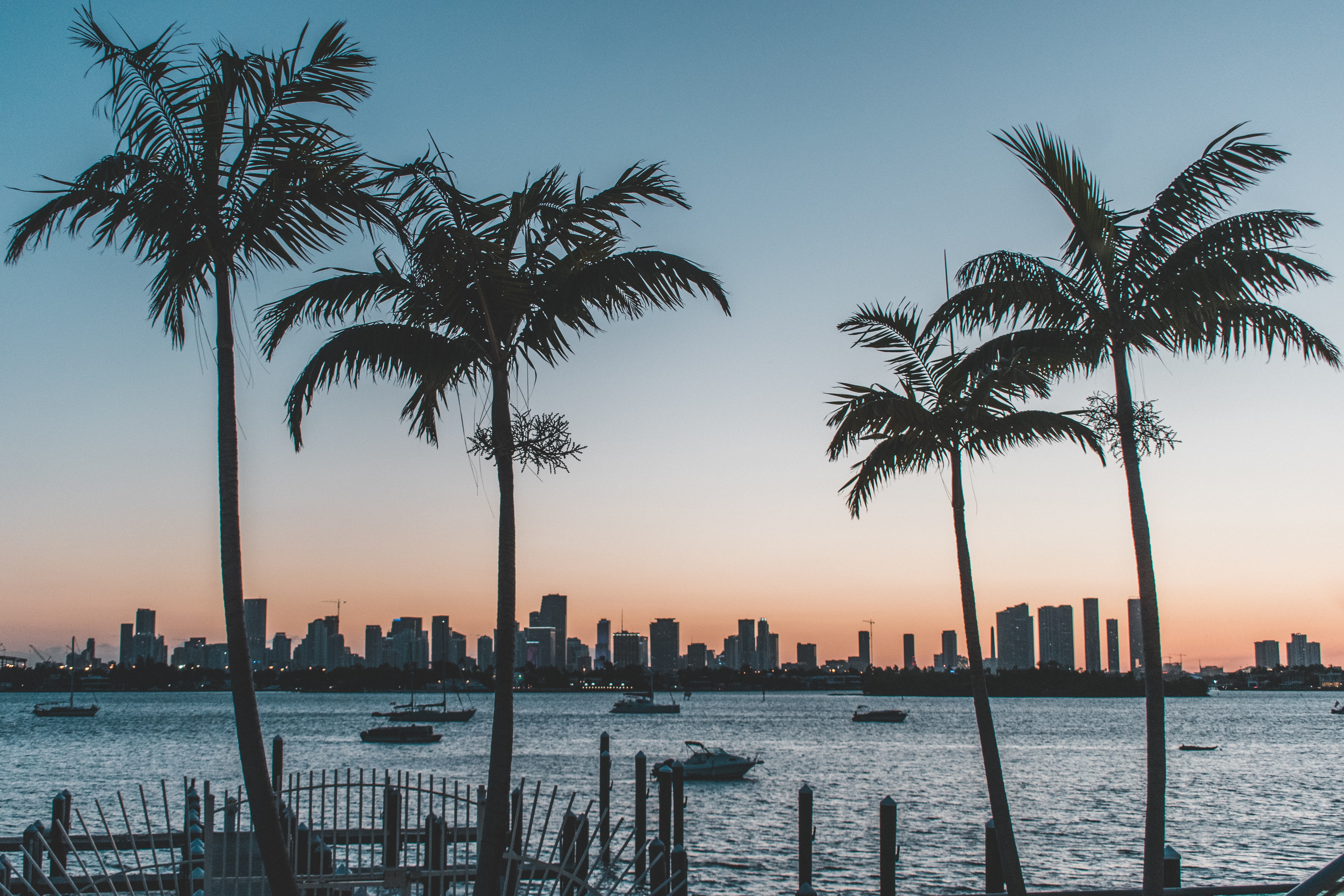 Sunset in Florida — palm trees, boats and a cityscape in the background