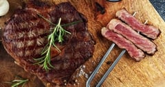 bison_platter_1_480x480
