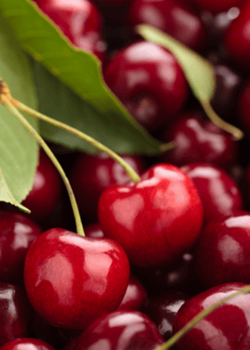 Close up of cherries