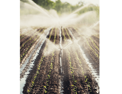 Crops being irrigated