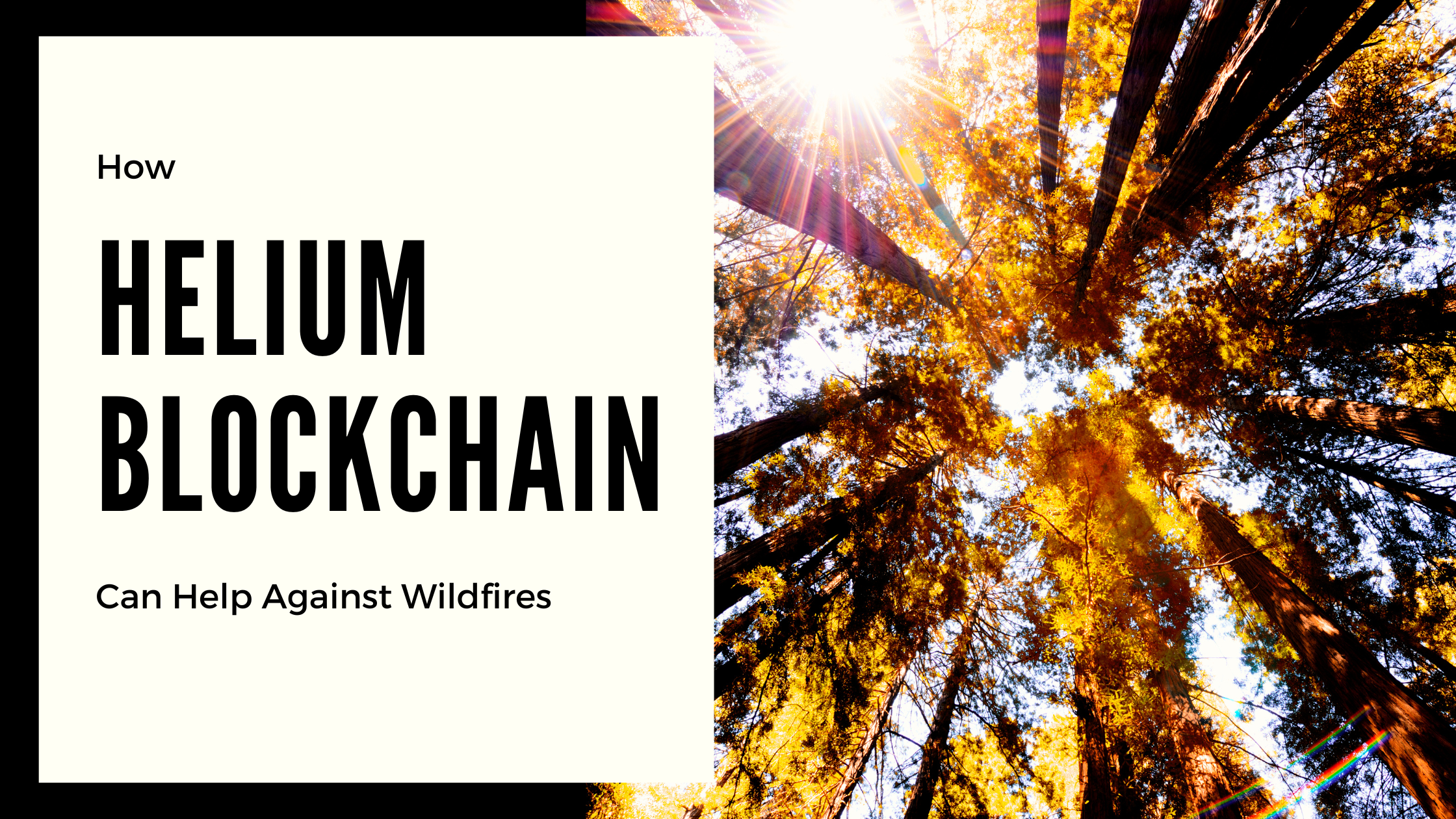How Helium Blockchain Can Help Against Forest Fires