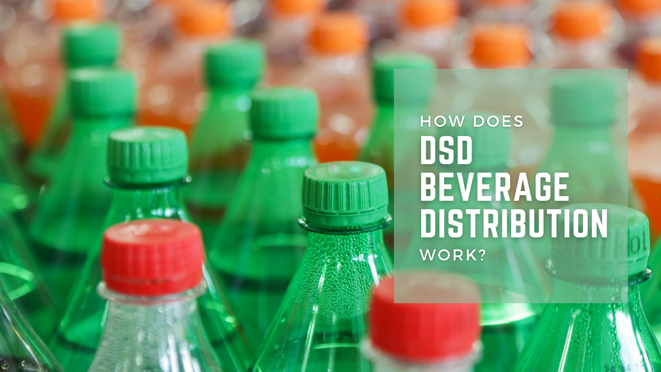 How does DSD beverage distribution work?
