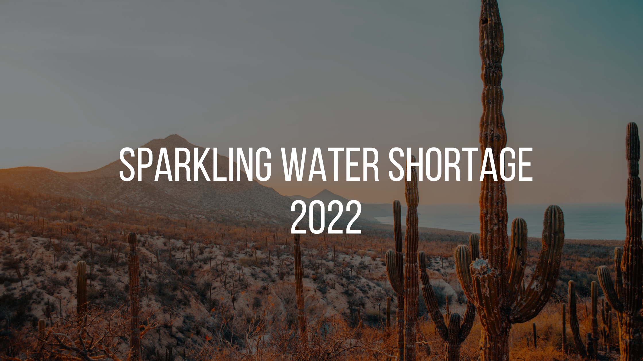 Sparkling Water Shortage