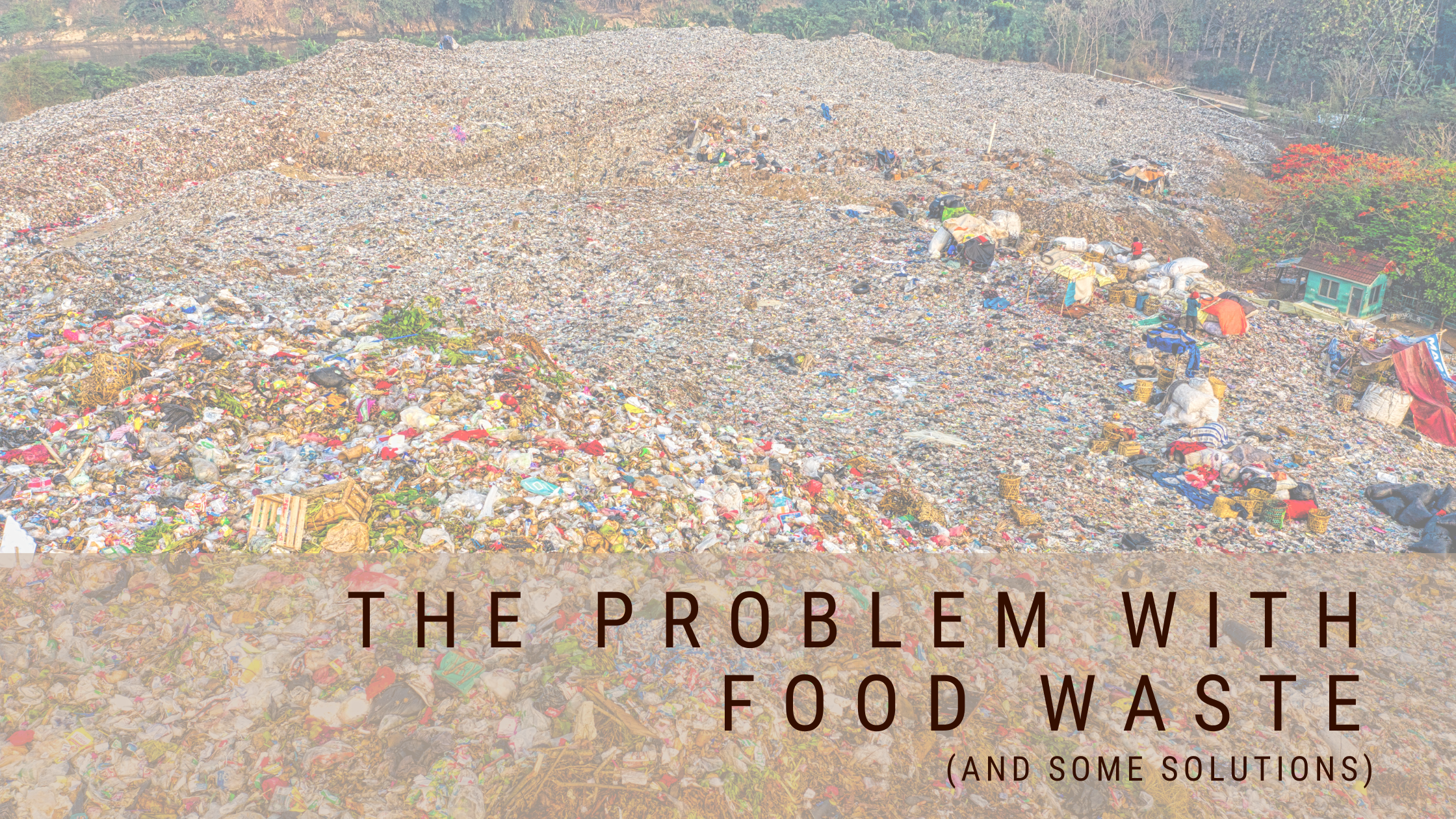 The problem with Food Waste
