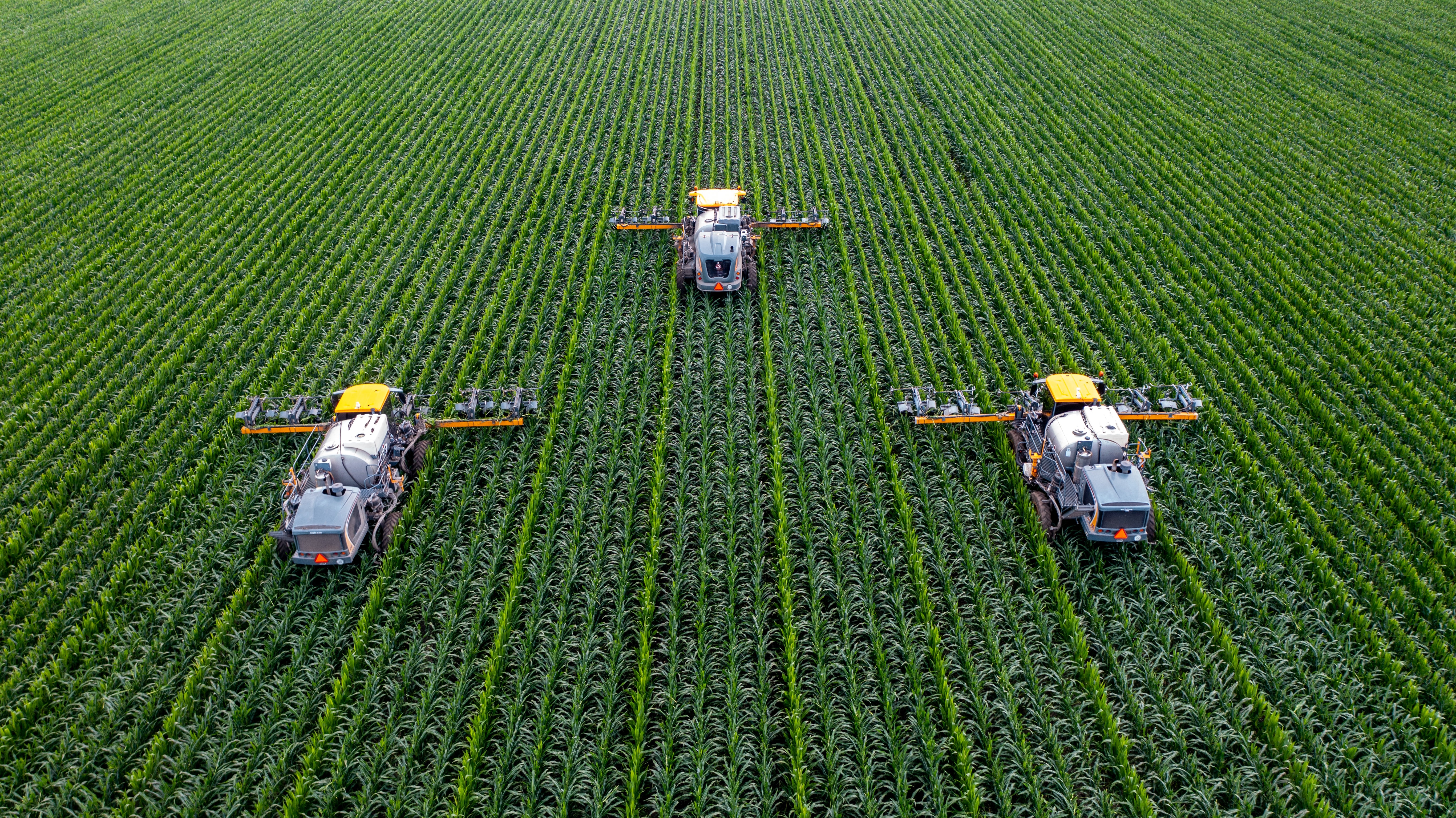 Three harvesting tractors drive through a field
