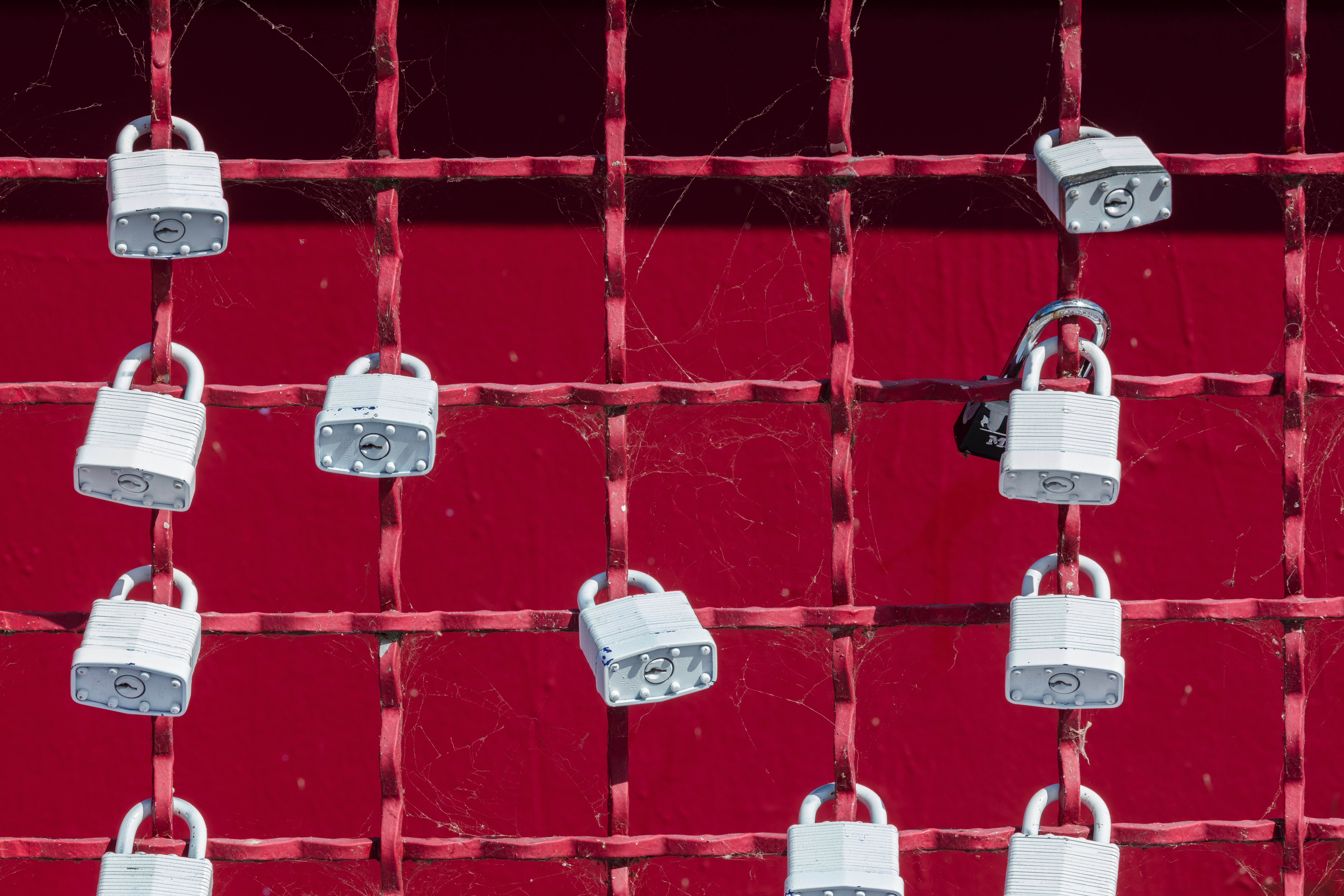A photograph of a red wire fence with many white padlocks on it
