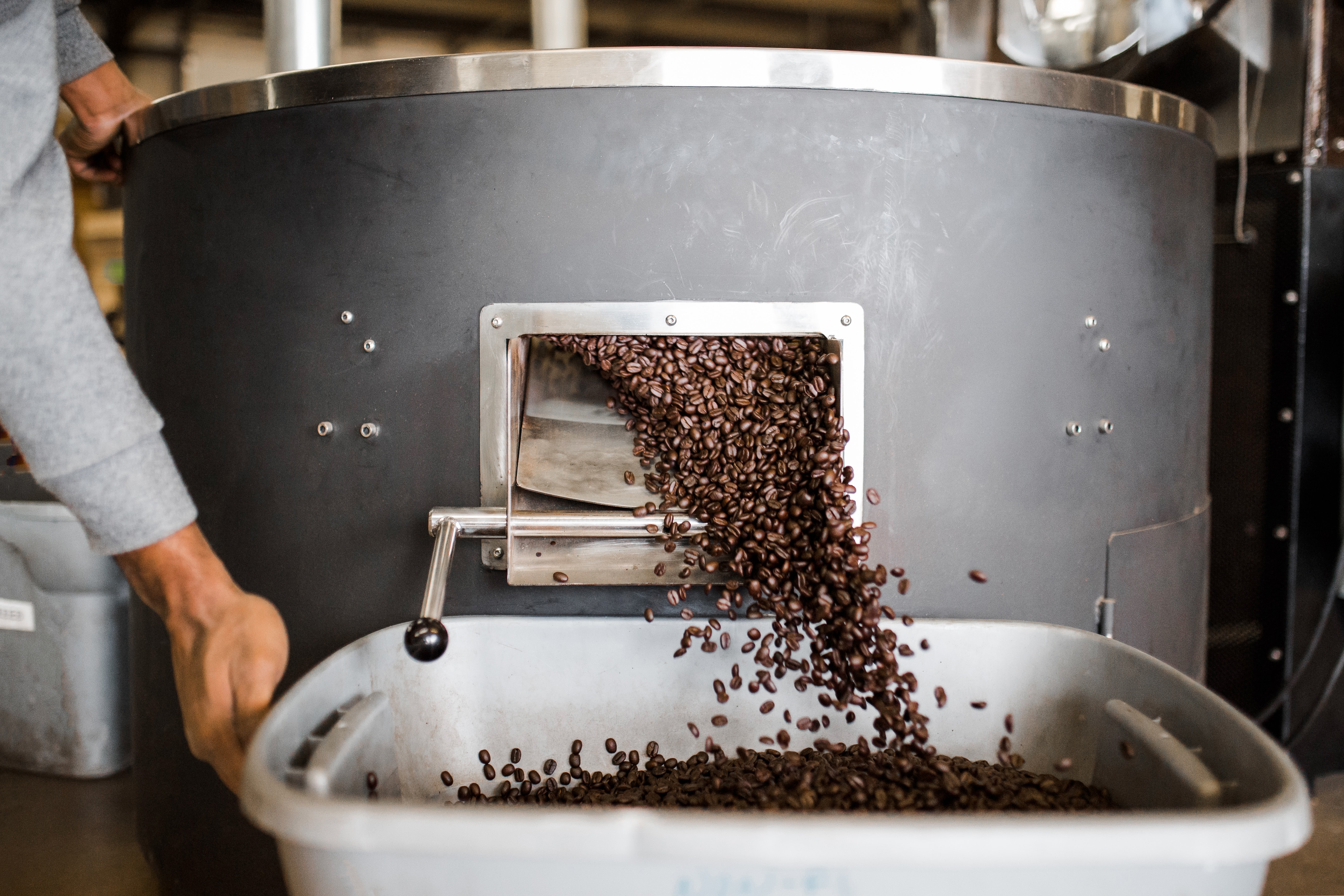 Quality coffee beans flow from storage into a container
