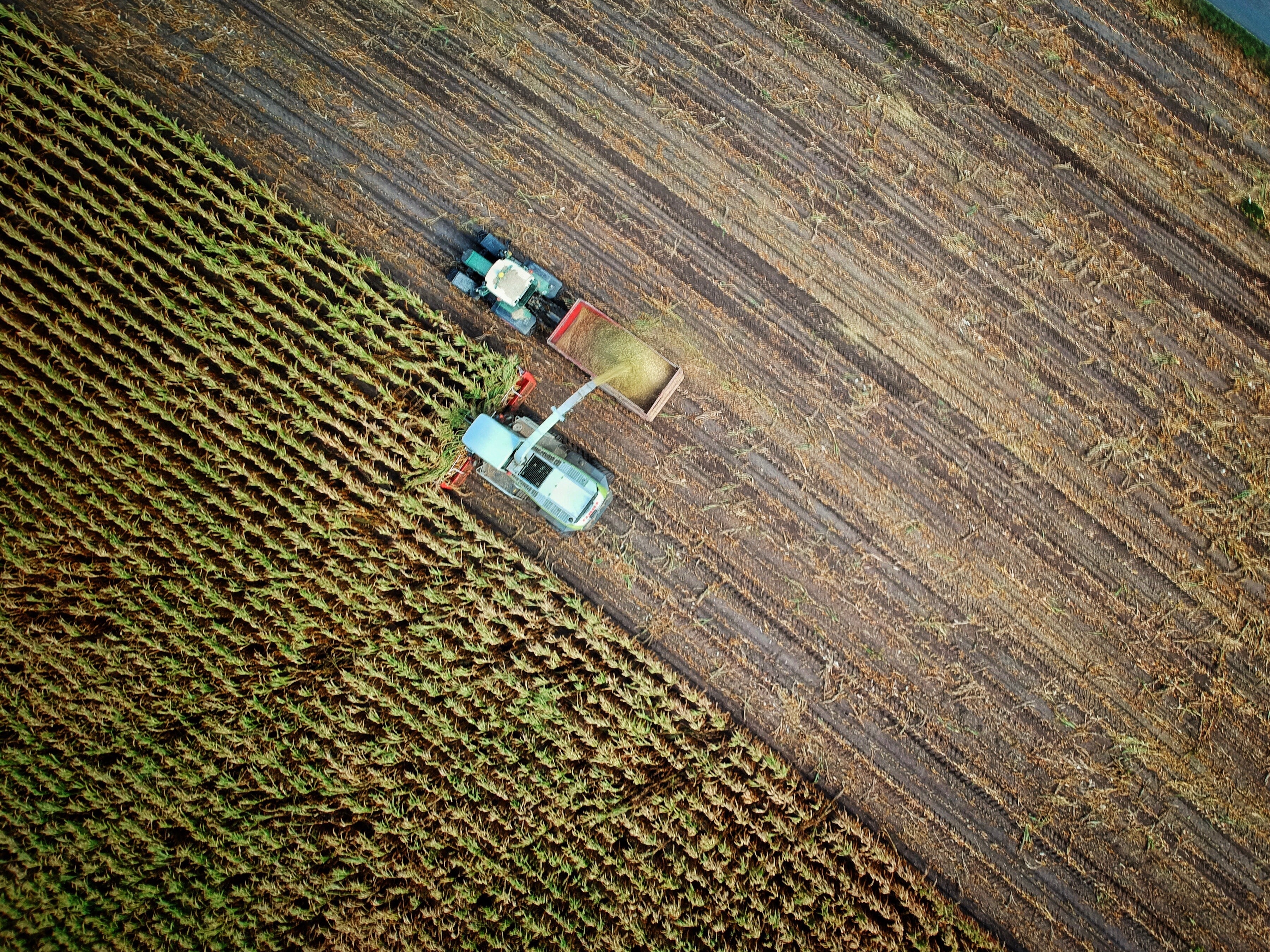 Agriculture is a great example of how the blockchain can be used for food — like alerting farmers to crop issues when harvesting, as shown here