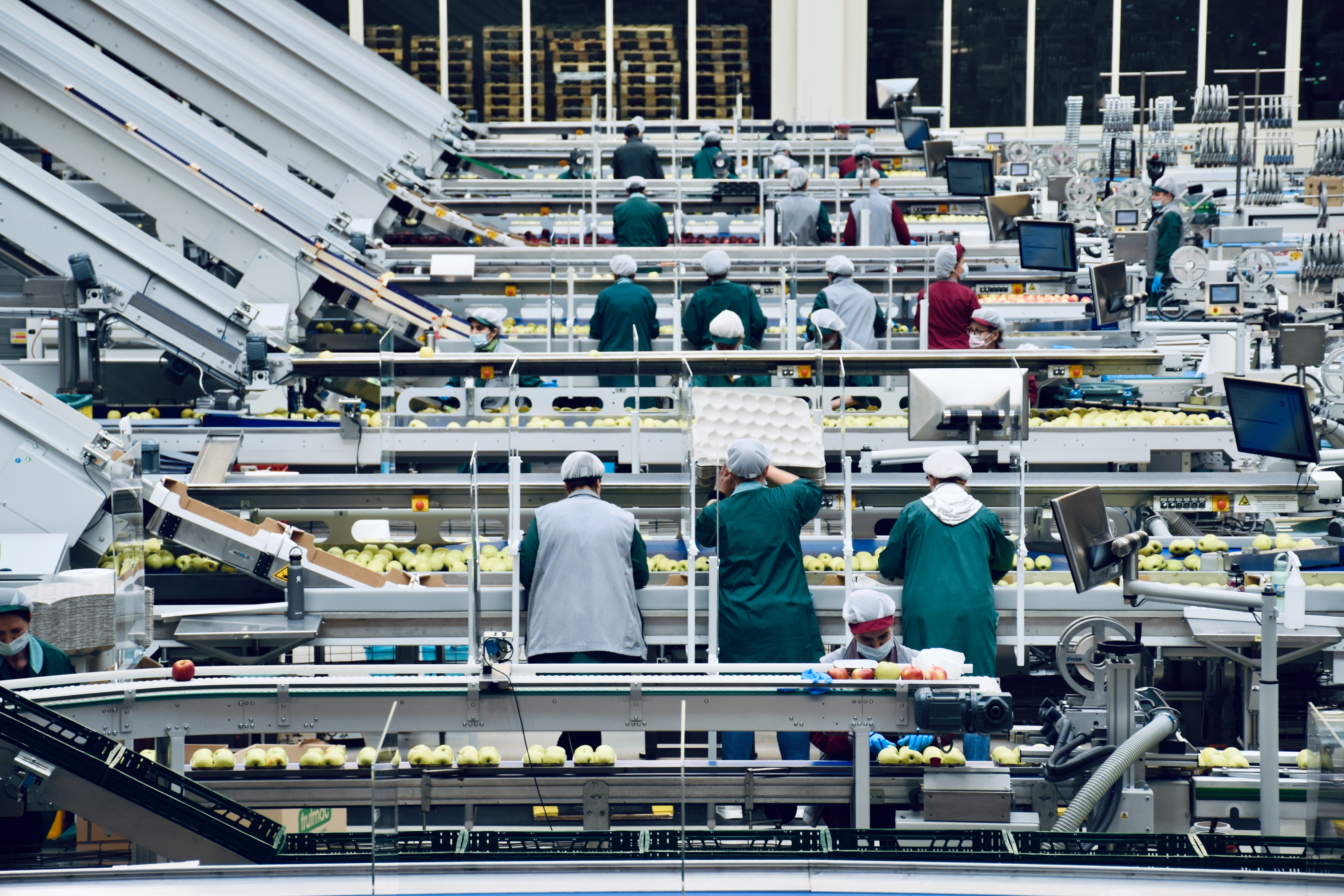 An image of a food production center — a team of people sorting apples on a conveyor belt