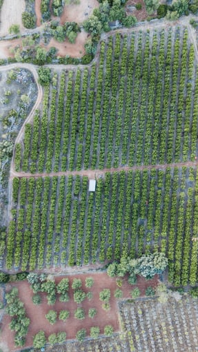 An aerial image of a farm
