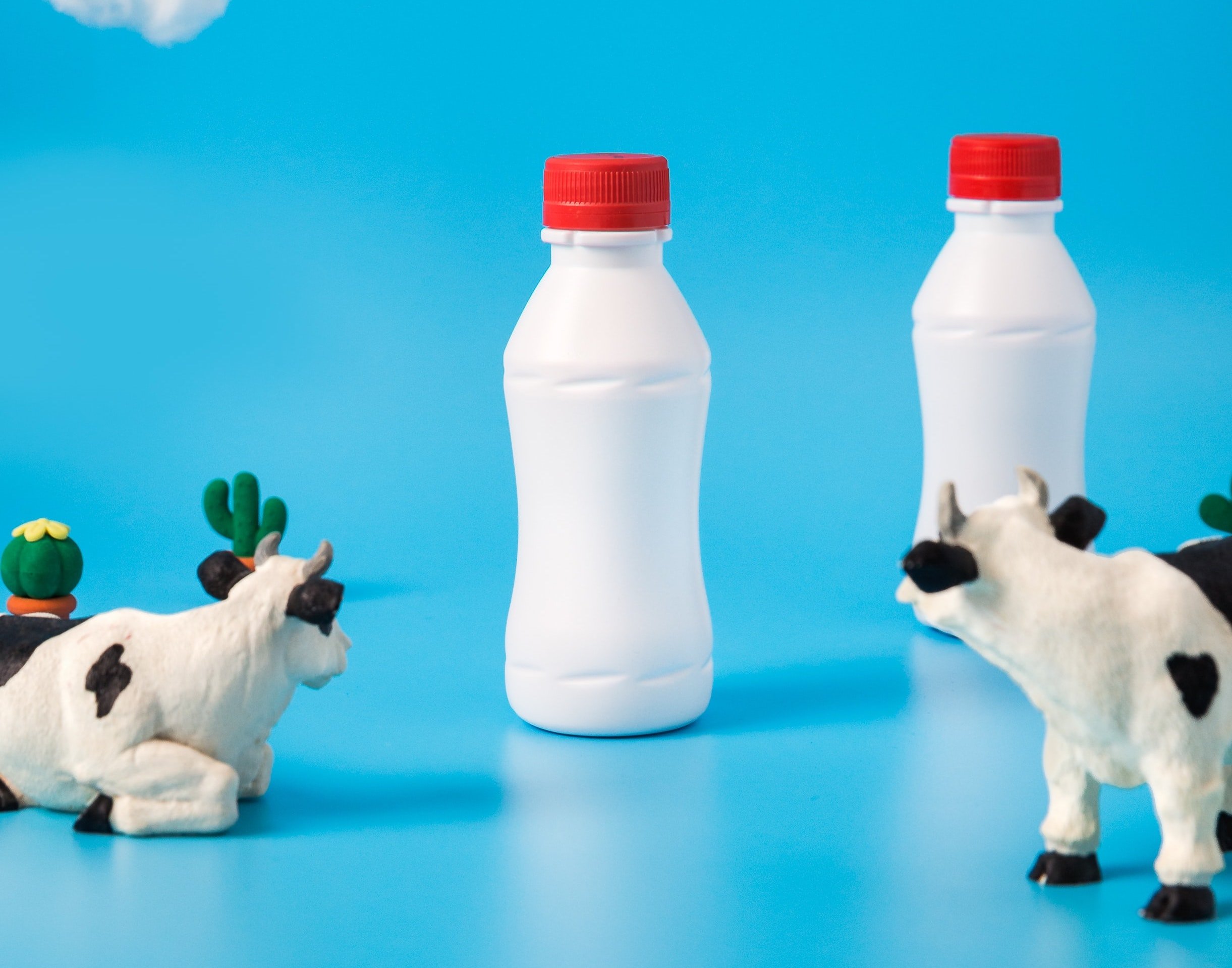 How to Find the Best Wholesale Milk Distributor for your Dairy Business