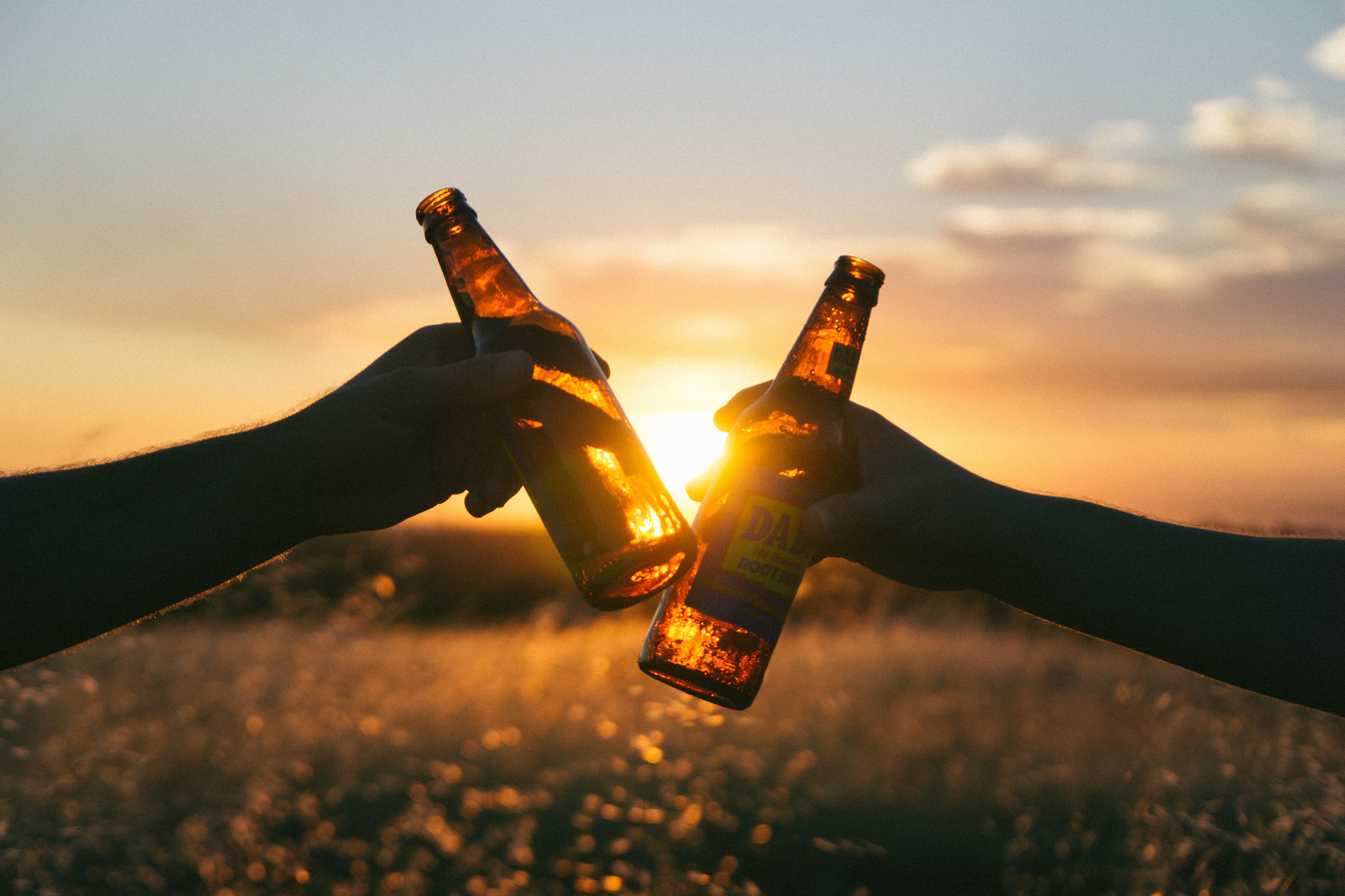 Two people 'Cheers' a bottle of beer each against a setting sun