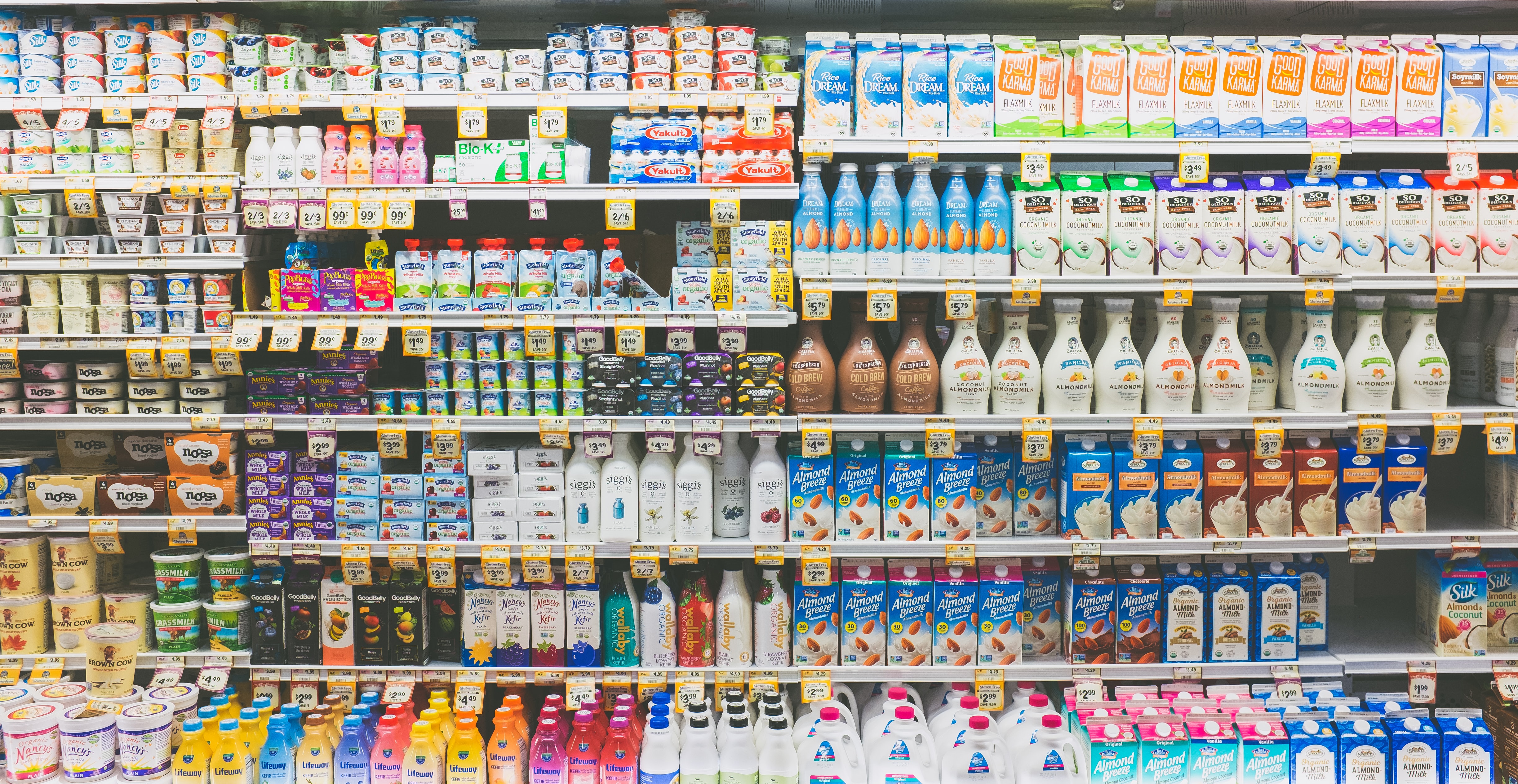 Shelves of milk products in a grocery store that have been stocked by a dairy distributor