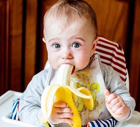 babies-love-bananas_480x480