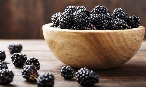 blackberries-in-a-bowl_1_480x480