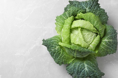 cabbage_480x480