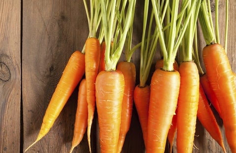 carrots_1_480x480