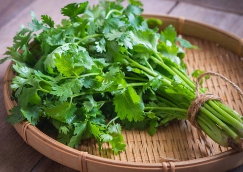 cooking-with-cilantro-stems_480x480