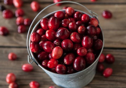 cranberries-in-a-bucket_1_480x480