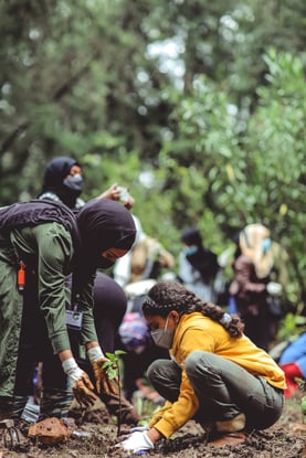 Two farmers plant a tree in a forest.