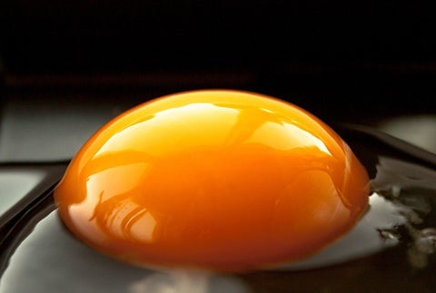 in-article-eggyolks7_1_480x480