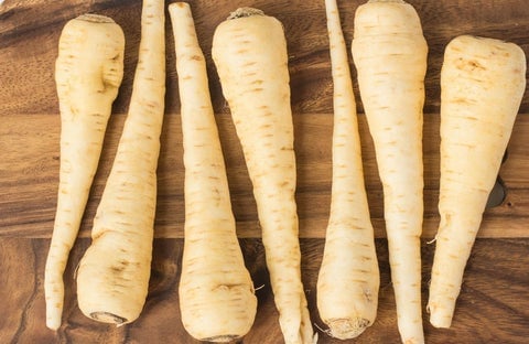 parsnip_1_480x480