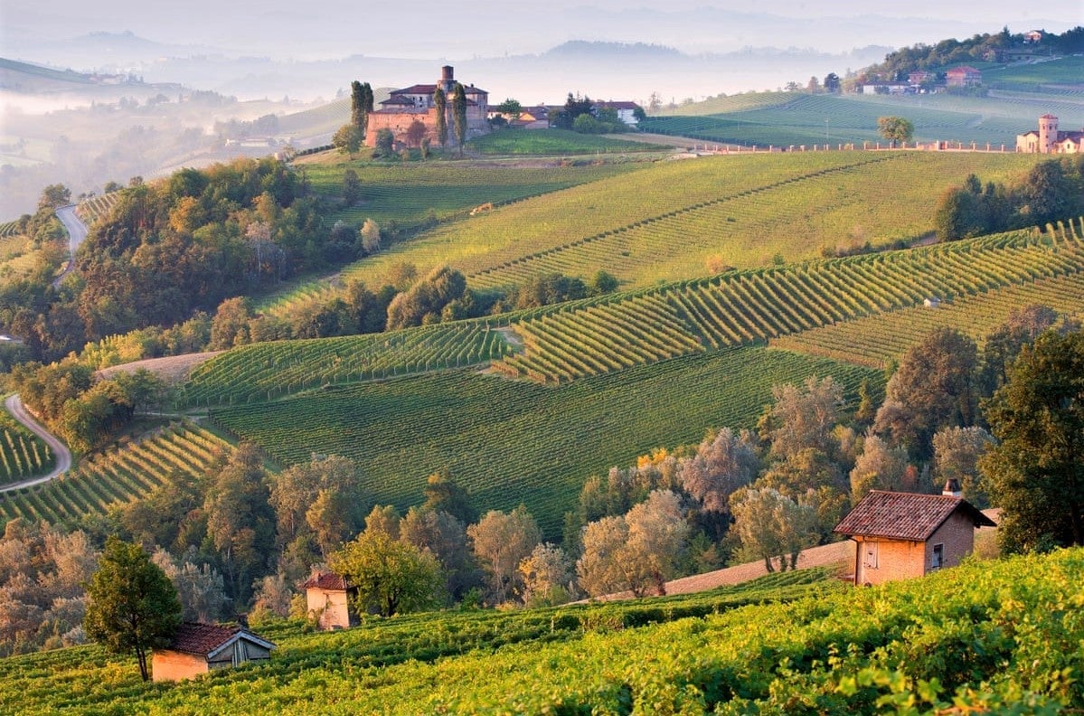 piedmont-italy-fields