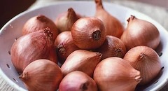 shallots_summer_medium