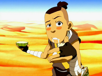 sokka_cactus_juice_high_480x480
