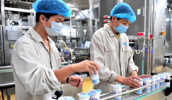 yogurt-factory-workers