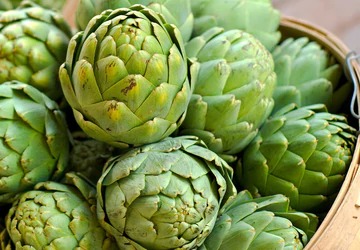 Artichoke Nutrition