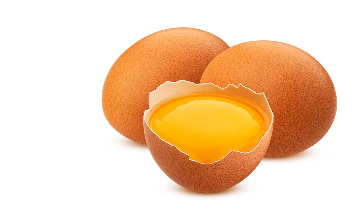 EGGS EGGS