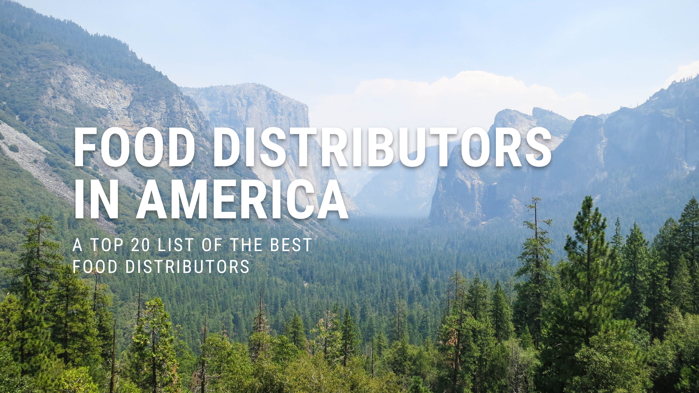Food Distributors in America [the Top 20]