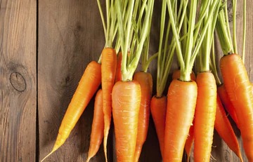 Carrot Nutrition