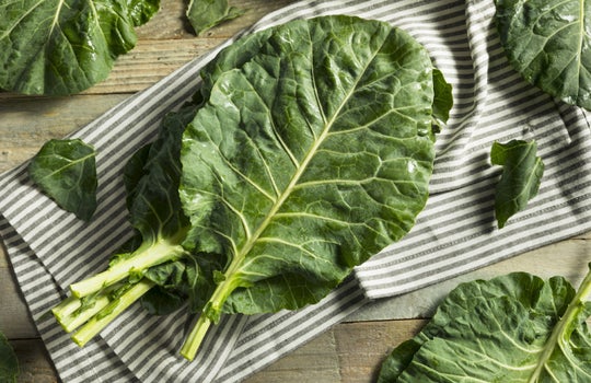 What Are Collard Greens?