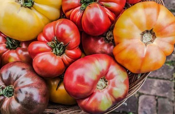 What Are Heirloom Tomatoes?