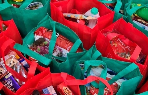 Red and green grocery bags filled with shopping
