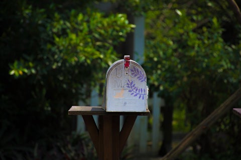 A cute mailbox, set against a green shrub