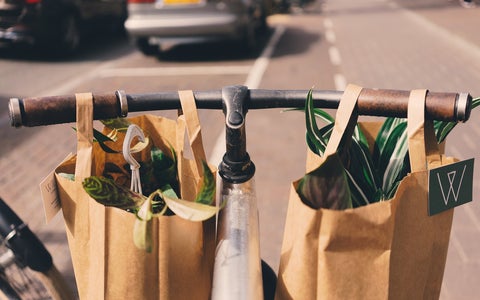 A set of bicycle handlebars carrying brown paper bags filled with plants