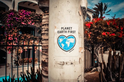 A small poster, stuck to a lamp post, reading 'Planet Earth First'