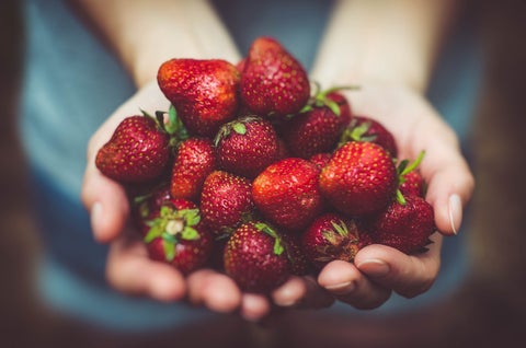 A close-up of a woman's hands, holding a big pile of strawberries