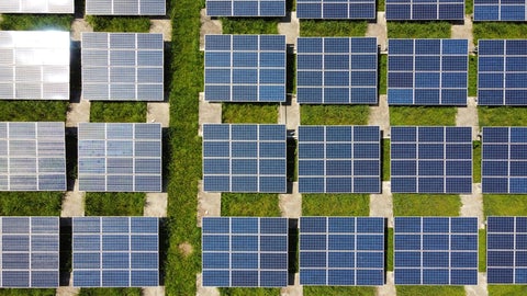 A field of solar panels, seen from above