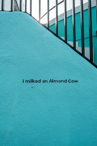 A street art stencil that reads 'I milked an almond cow' - written on a bright blue wall