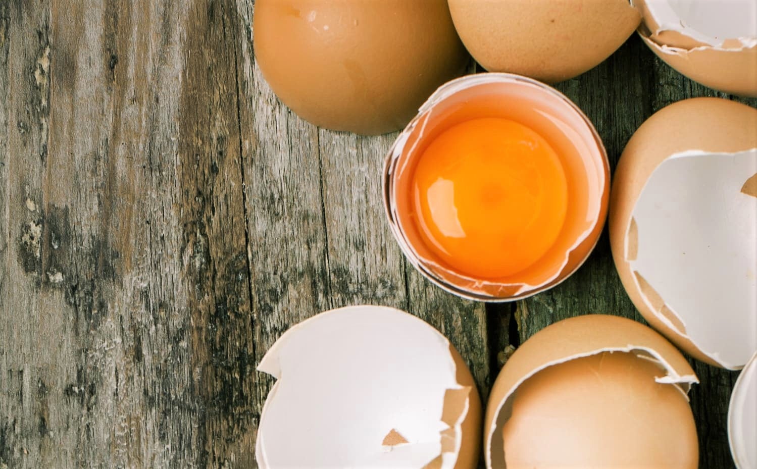 Are Darker Egg Yolks Healthier Than Light Egg Yolks?