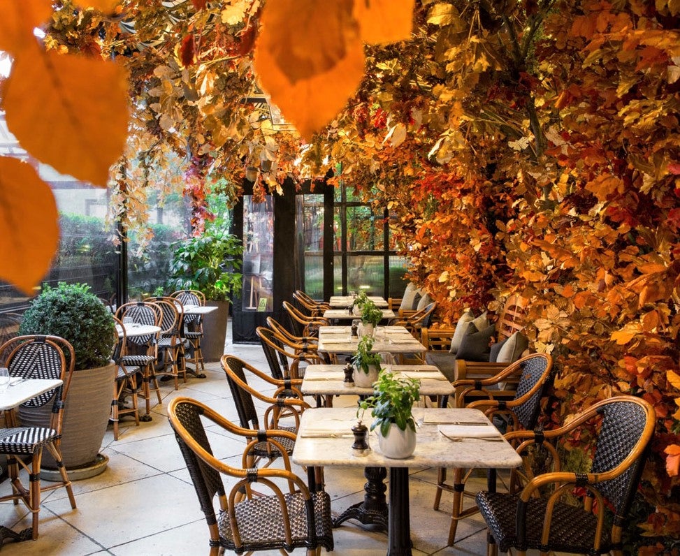restaurant terrace covered in autumn foliage and orange leaves
