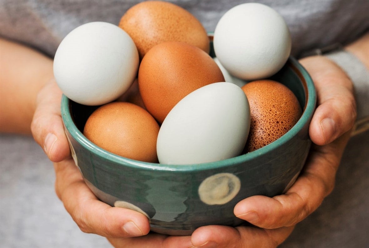 What are the Healthiest Eggs to Eat?