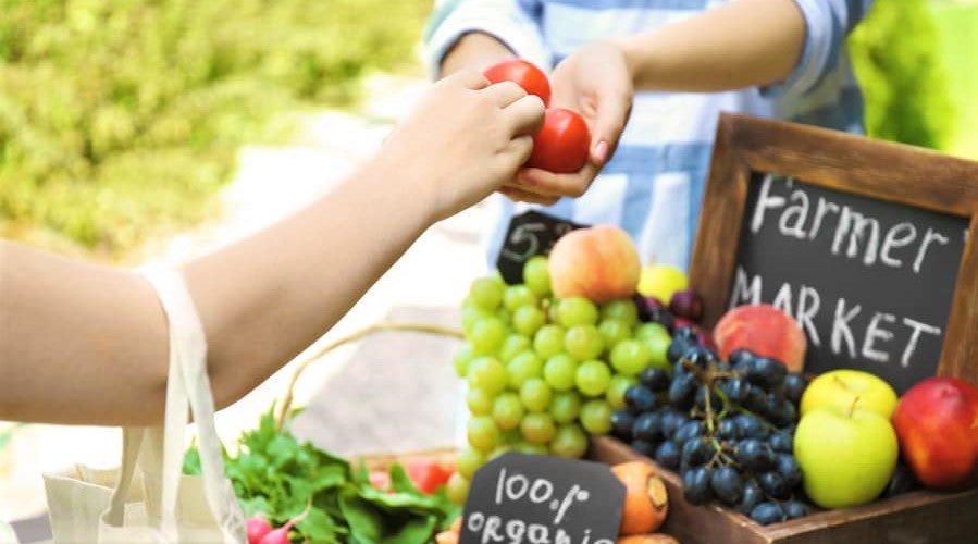 farmer selling organic produce at local market