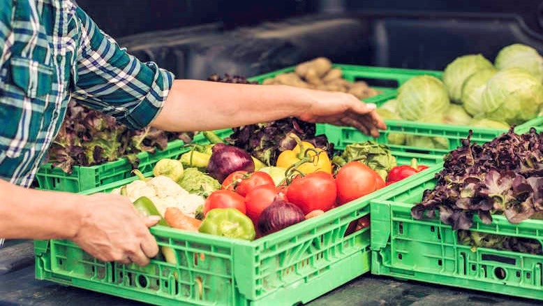 crates of fresh organic produce being unloaded out of van