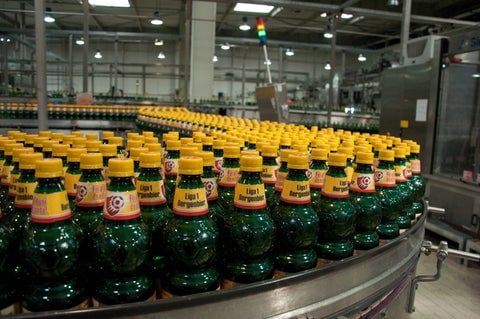 Bottles move along a conveyor belt in a packing facility.